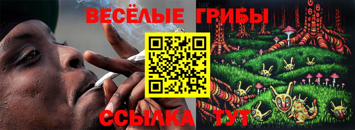 Псилоцибиновые грибы мухоморы Лабытнанги