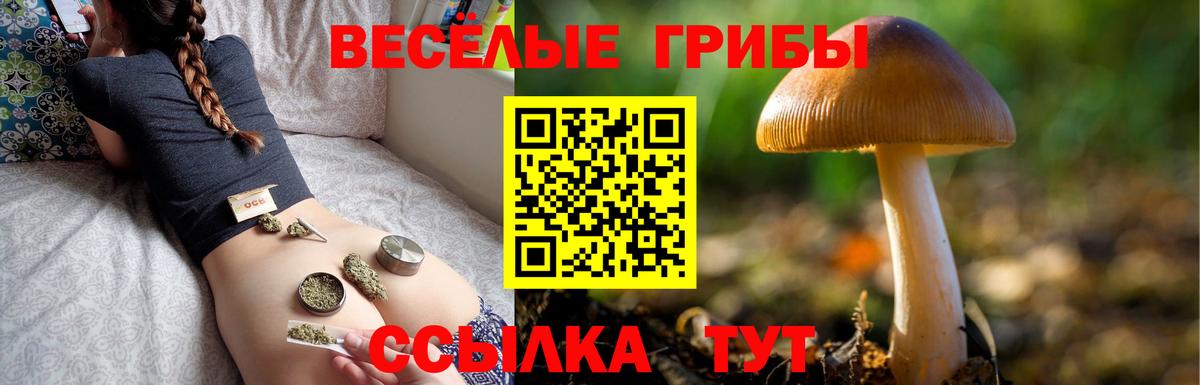Галлюциногенные грибы Psilocybe  Вход с VPN  Лабытнанги 